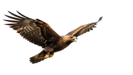 Isolated Golden Eagle, Majestic Bird of Prey Soaring with Wings Spread Wide on Clear Sky