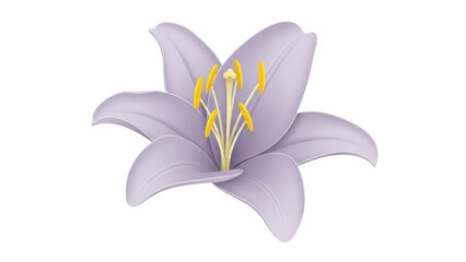 Isolated illustration of a delicate purple lily, blooming gracefully in a serene floral artwork