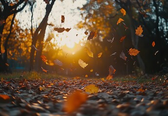 Vibrant Autumn Leaves Falling in Park at Sunset with Warm Sunlight Filtering Through Trees