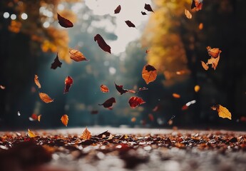 Vibrant Autumn Leaves Falling on Wet Ground with Blurred Forest Background and Sunlight Filtering Through Trees