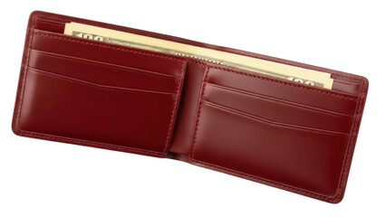 Isolated shiny leather wallet with some cash, close-up. Accessory for business person, man