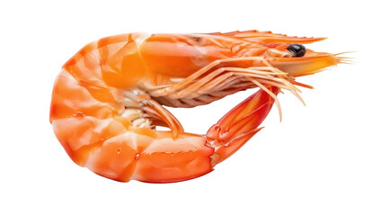 Isolated single cooked tiger shrimp, food photography, fresh seafood, fine dining item