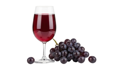 Isolated composition of red wine in glass and black grapes, elegant wine presentation