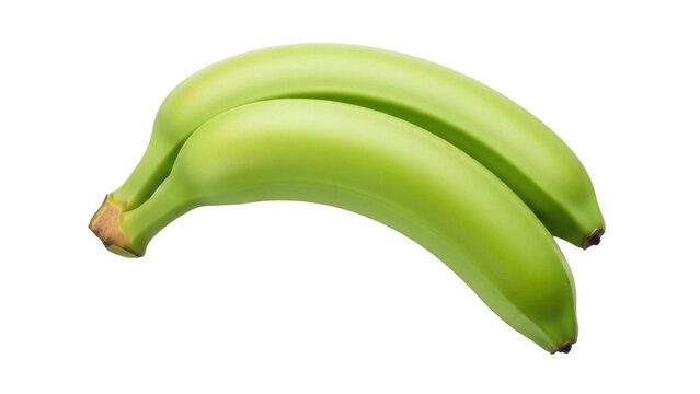 Isolated Plantains Fresh Green Cooking Bananas Closeup Healthy Eating Natural Vegan Diet