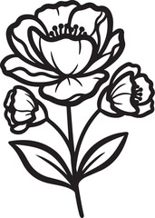 50 Floral Nature Vector Illustration