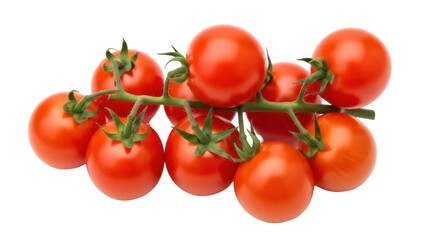 Isolated sprig of vine tomatoes, vibrant red juicy produce picked at peak ripeness freshness