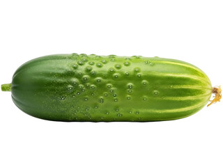 Isolated green cucumber on seamless background, fresh vegetable for tasty nutrition salad