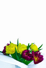 A bouquet of bright spring flowers on a white background as a greeting card.