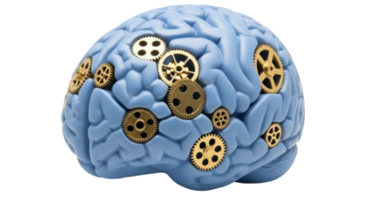 Isolated human brain with gears, thinking and innovation, concept of mind work and intelligence
