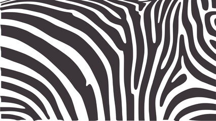 Contrast black and white zebra stripe pattern texture © Ali