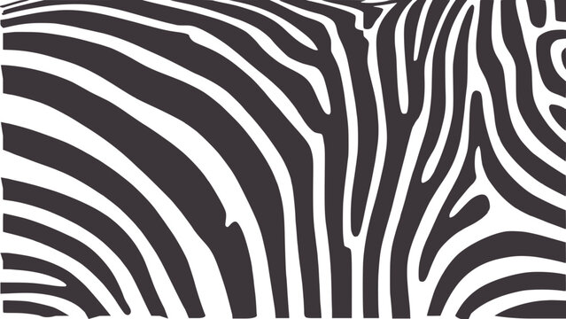 Contrast black and white zebra stripe pattern texture