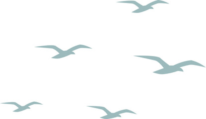 Small Sparse Seagull Flock Silhouettes Minimal Sky Flight