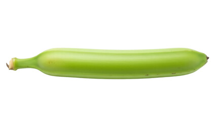 Isolated green plantain fruit, an unripe tropical banana for cooking, culinary ingredient