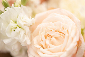 Close up of tender bouquet.