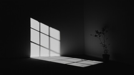 A black and white photo of a room with a plant in a pot.