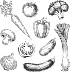 Hand-drawn vegetable illustration, vintage botanical sketch, black and white food art, organic produce drawing, healthy cooking concept, culinary design