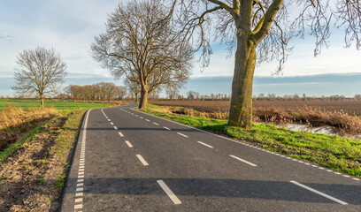 Landscape with a winding country road and trees with bare branches. The photo was taken in the Dutch province of North Brabant on a cloudy day at the end of the autumn season.
