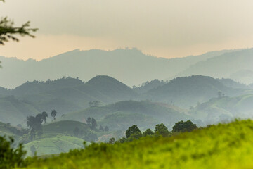 View of rolling green hills fade into misty mountains under a pale sky, a serene landscape of natural beauty and tranquility, Phu Tho, Phú Thọ, Vietnam.