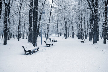 In the city park on a cloudy winter day.