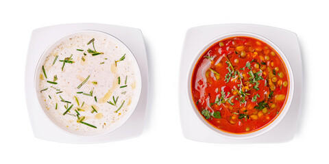 Two bowls of soup are displayed side by side. One contains a creamy white soup garnished with herbs, while the other features a vibrant red tomato soup with visible vegetables and herbs.