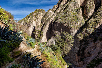 Obraz premium The andean mountains and valley of the colca canyon 