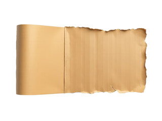 A detailed view of a piece of paper against a clean white background, ideal for business or education purposes.transparent background