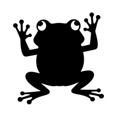 frog on white background