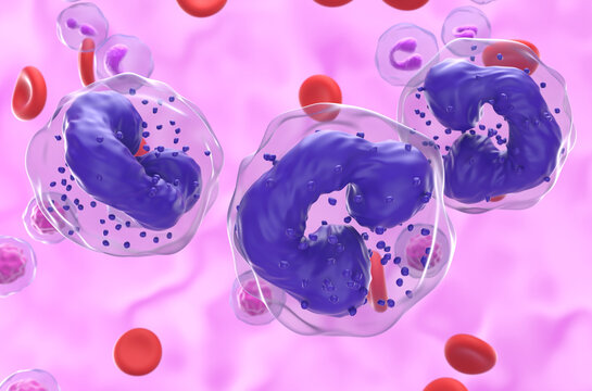 Chronic Myelogenous Leukemia (CML) cells in blood flow - semi closeup view 3d illustration