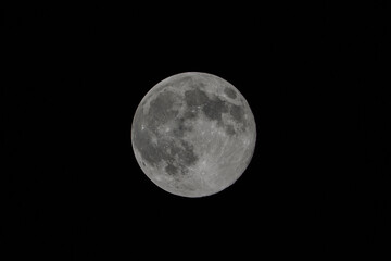 Obraz premium Full Moon with Detailed Craters against the Black Sky