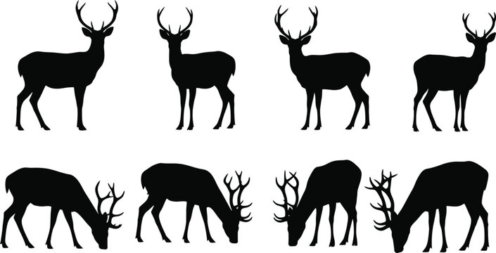 Collection of eight black silhouette vector graphics depicting various poses of male deer with prominent antlers against a clean white background for design use