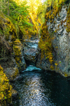 Englishman river falls flowing through lush green canyon on vancouver island