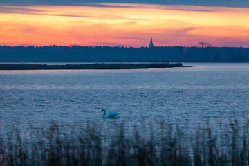 Vor Sonnenaufgang am Bodden vor Zingst.