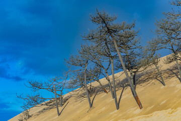 Dune of Pilat in France