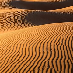 Golden Sand Dunes Sculpted by Wind in a Desert Landscape at Sunrise