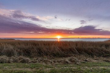 Zum Sonnenaufgang im Dezember am Bodden vor Zingst. © Karl