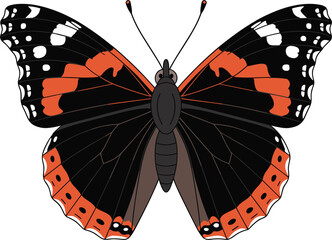 Red Admiral Butterfly Vector Illustration With Black White And Orange Wing Patterns © Monjurul