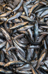 Fresh sardines. Sold at the fish market.