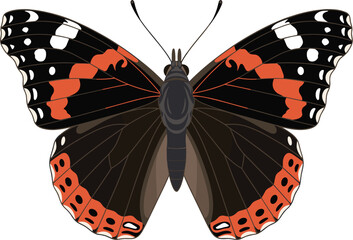 Detailed Butterfly Insect Graphic Design Isolated On A Solid Dark Grey Background © Monjurul