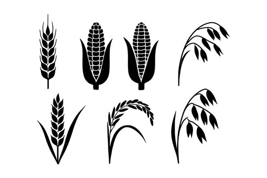 Silhouette icons of wheat, corn, and oats in black and white.