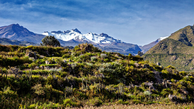 The andean mountains and valley of the colca canyon	