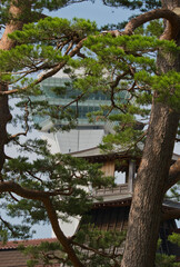Contrast of Traditional Japanese Architecture and Modern Tower in Hakodate