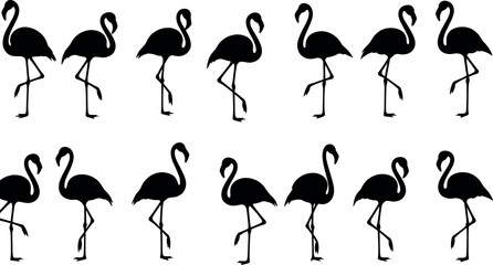 Flamingo silhouette puzzle, visual discrimination, black bird icon, standing flamingos, pattern recognition, minimal design, vector art, wildlife concept © Masud World