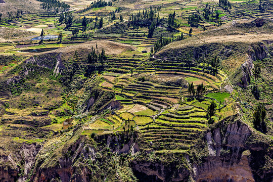The andean mountains and valley of the colca canyon	