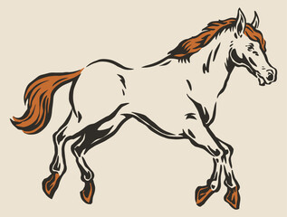 Elegant horse in motion