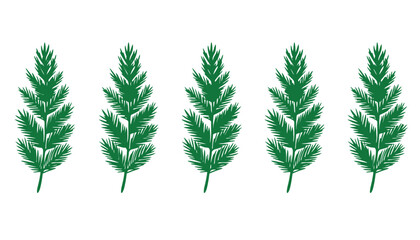 Five green pine branches are arranged in a row against a white background.