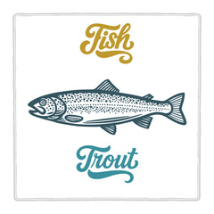 Hand drawn Trout fish illustration in vintage engraving style with fish lettering. Perfect for seafood design, restaurant branding, menus, labels, posters, and packaging. Part of set.