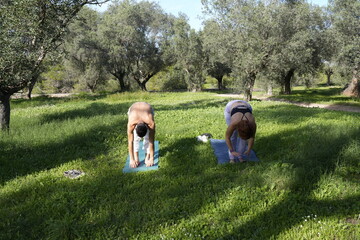 Couple preparing yoga mats for outdoor exercise