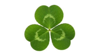 Green three-leaf clover isolated PNG, lucky shamrock plant on transparent background for St Patrick s Day and Irish culture