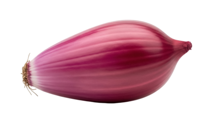 Oblong red shallot isolated PNG, fresh whole vegetable with layers of flavor for gourmet cooking and healthy eating on transparent background