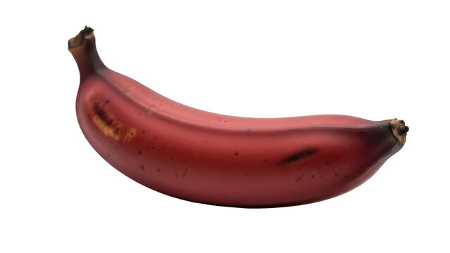 Vibrant red Dacca banana PNG isolated on transparent background, tropical fruit with unique color and flavor for healthy eating and exotic food concepts